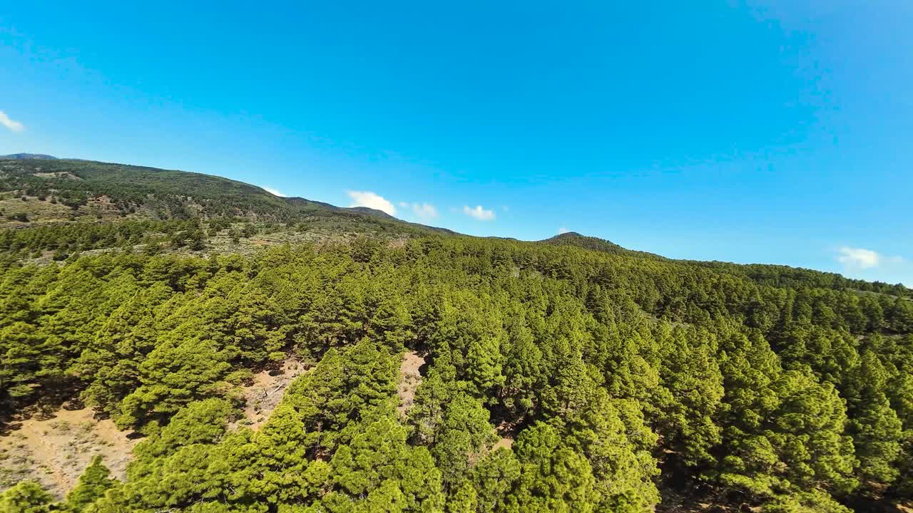 Lush green pine forest under blue sky, aerial view of Las Barreras, Tenerife island