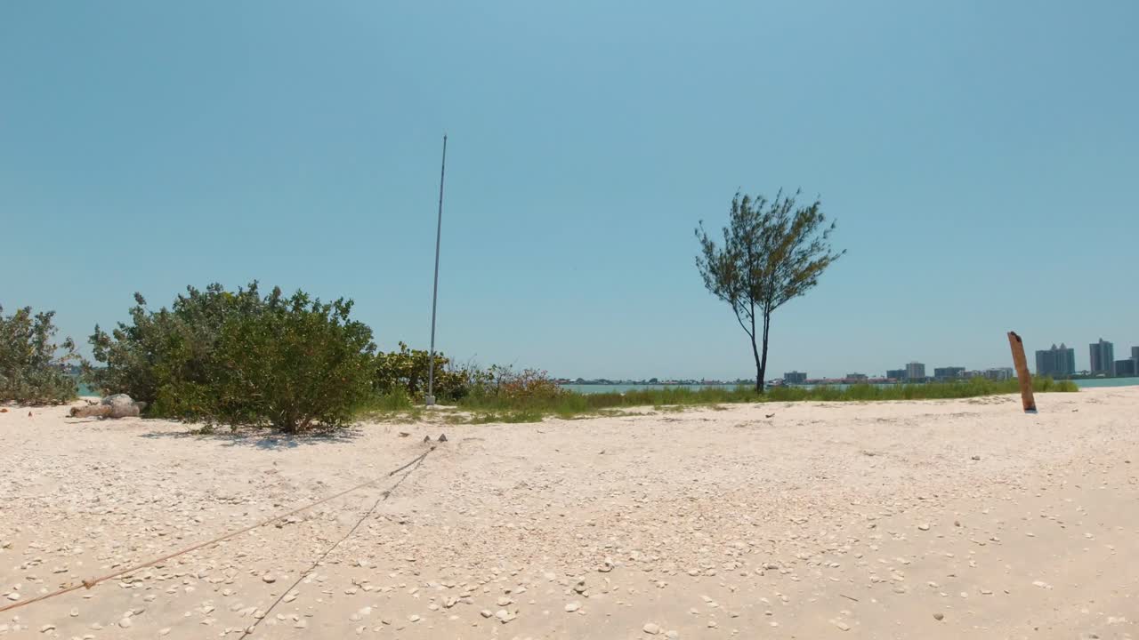 A wide shot of a calm, empty beach with greenery and a single tree, set against a distant city skyline under a bright blue sky