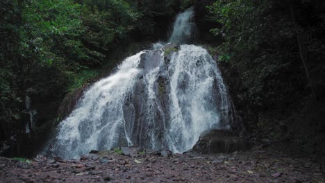 cascade waterfall between the trees