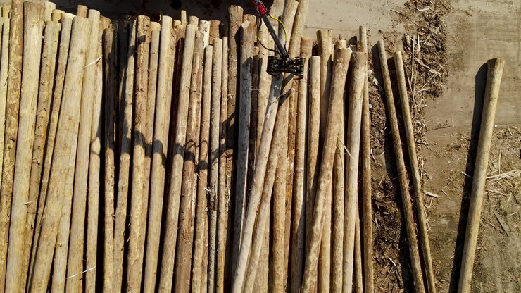 Aerial top down show of crane loading Wooden Tree Logs at Harbor during sunny day
