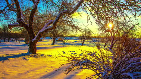 Goldener-Sonnenaufgang-Durch-Die-Bäume-Und-Reflexion-Vom-Schneebedeckten-Boden---Schwenken,-Kippen,-Gleiten-Im-Zeitraffer