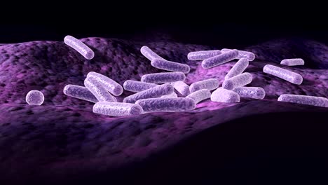 animación microscópica 3d de bacterias en una superficie, video de bucle de 360 grados