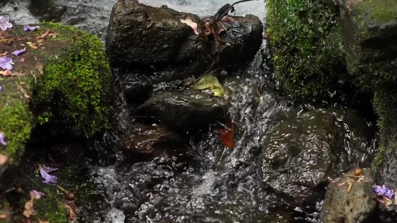 Clear fresh water ripples continuously over dark mossy rocks in a narrow creek bed.