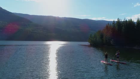 couple rowing a stand up paddle boad in the river 4k