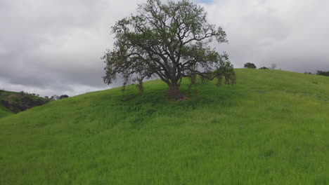 aerial drone creeping up to lonely hill on hill side malibu creek state national park