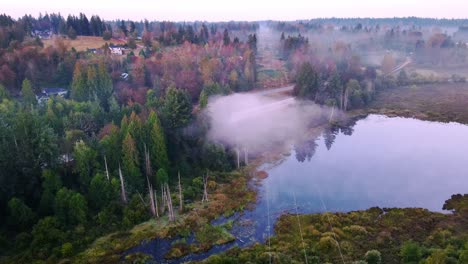 orbit shot of peaceful clear lake, reflecting white fog, heart of nature, renton, washington
