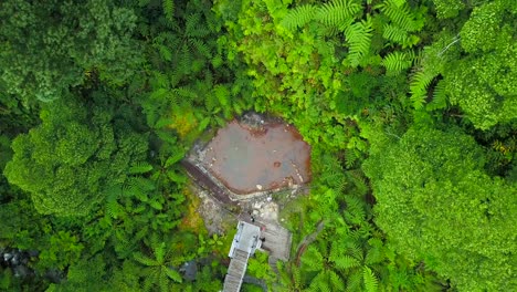 Vista-Aérea-De-Pájaro-Que-Revela-La-Selva-Tropical-Exótica-De-Las-Aguas-Termales-De-Caldeira-Velha