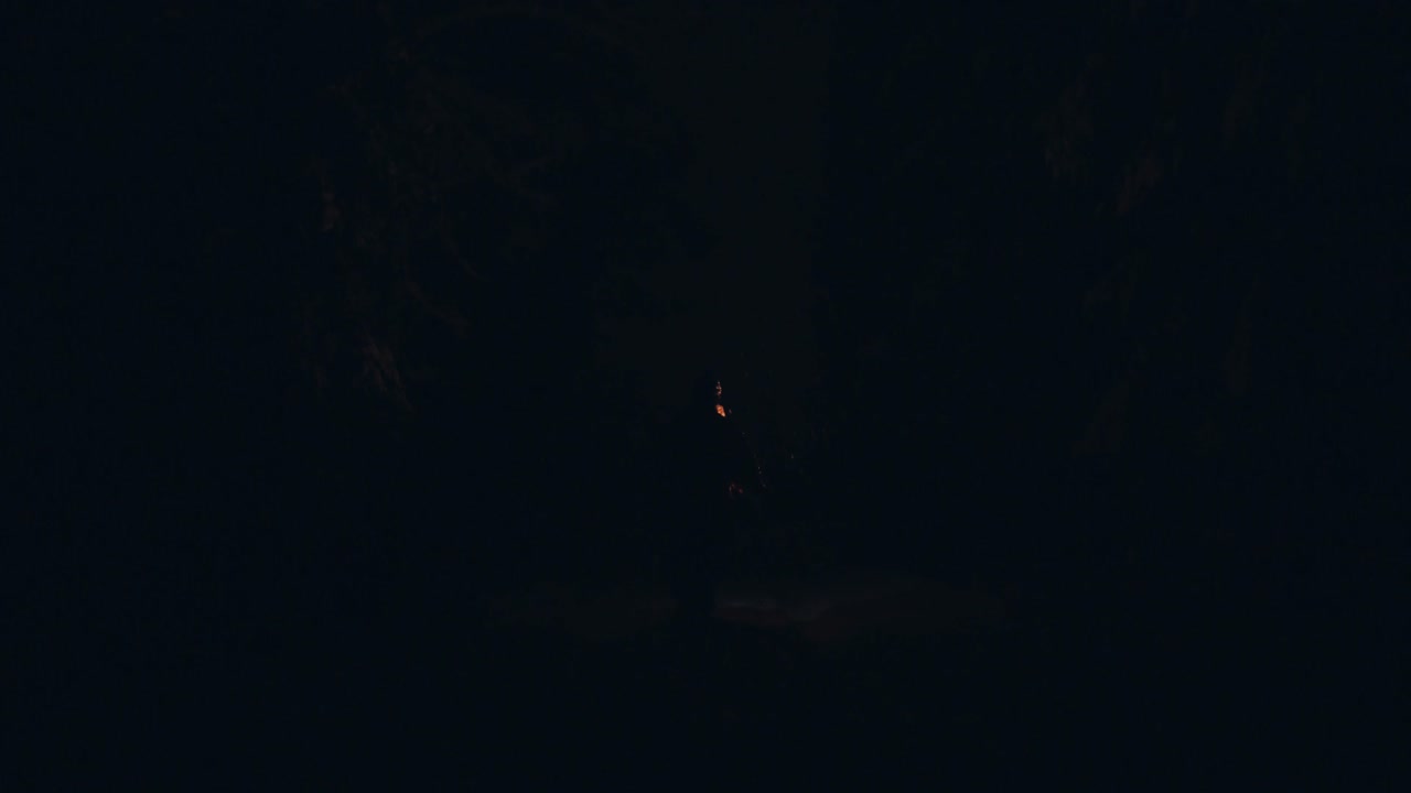 애완견과 함께 어둠 속에서 걷는 남자의 실루엣, 겨울 밤에 손전등을 비추는 길