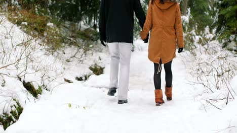 couple walking on the snow covered path in the forest