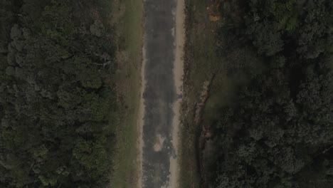 revealing drone shot of a road in a jungle