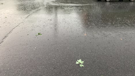 close-up rain on the street road