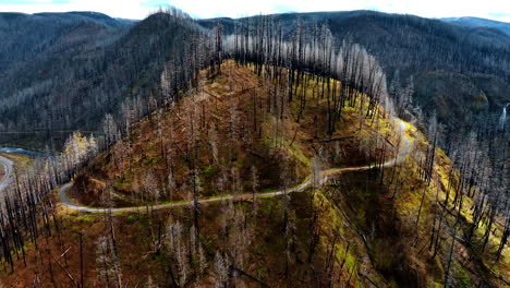 a road goes around the top of the mountain covered with dead pine trees. drone approaches the rock top at daytime.
