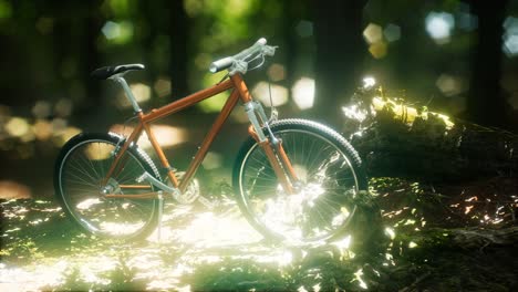 Mountain-bike-on-the-forest-path