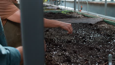 jardineros que trabajan en interiores