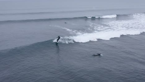 surfers having fun in super cold water of atlantic ocean in iceland, aerial