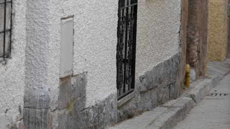 handheld two cow, brown and black, running towards camera on street at traditional celebration, encierro, in spain. village one-storey town houses. metal gate on doors, windows.