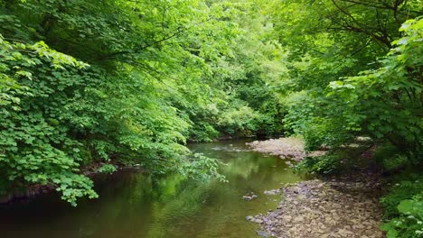 Escena-Del-Río-Del-Bosque-Filmada-En-El-Parque-Nacional-Del-Distrito-Pico-De-Derbishire