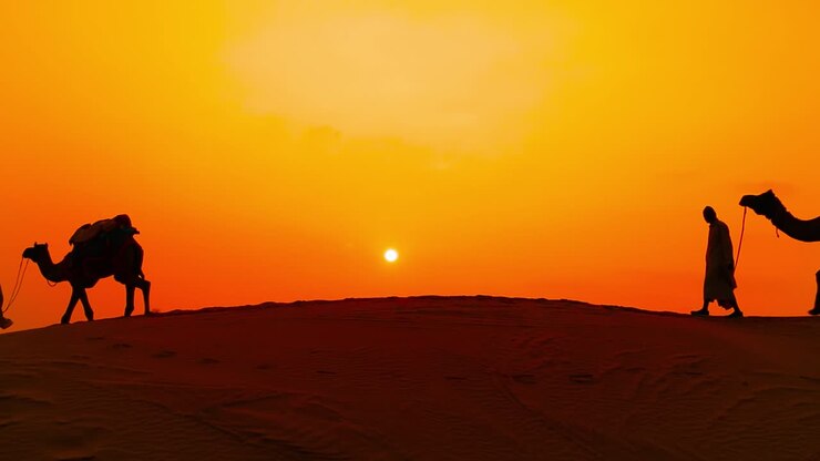 Cameleers, camel Drivers at sunset. Thar desert on sunset Jaisalmer, Rajasthan, India.