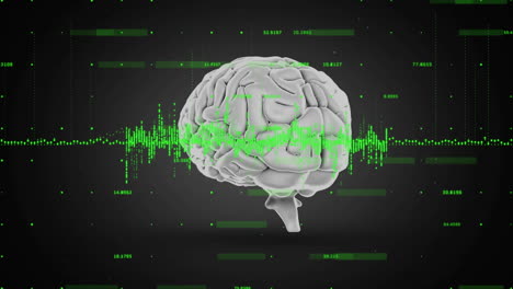 animation of digital brain over data processing