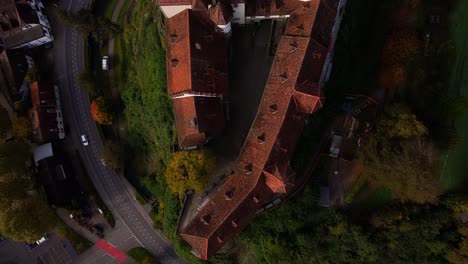 aerial view of a castle in a charming european town