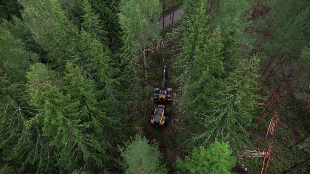 tomada aérea de un muñeco hacia adelante de la máquina forestal y forestal escandinava finlandesa ponsse escorpión cosechadora filmada con dji air 2s