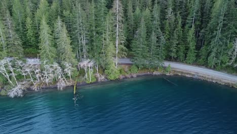 aerial view of lake in pacific northwest , united states