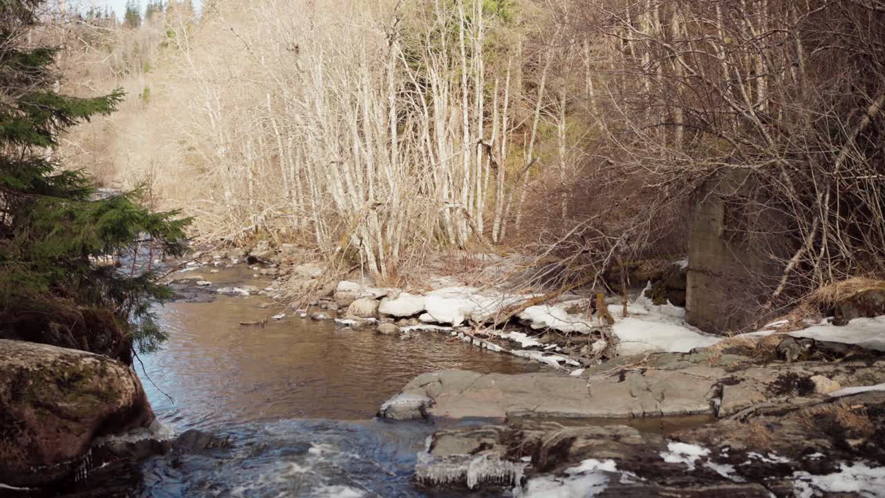 un arroyo que fluye a través del bosque nevado a principios de la primavera