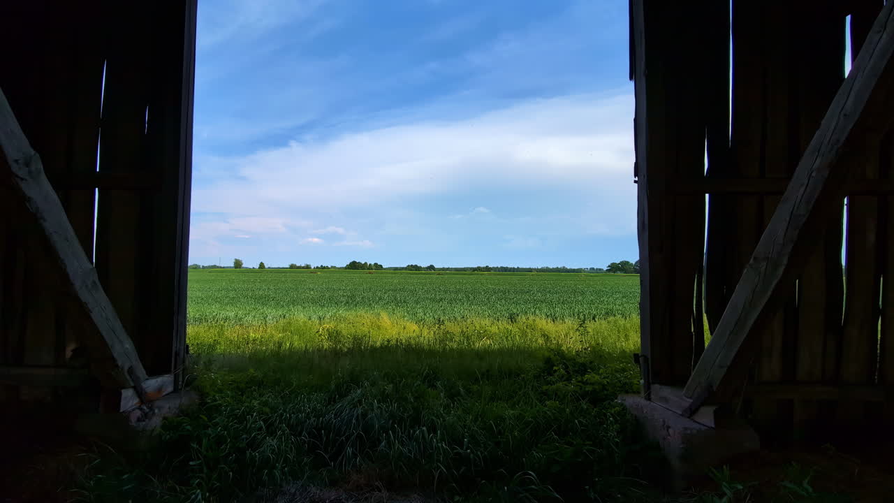 Serene Countryside View from an Old Barn