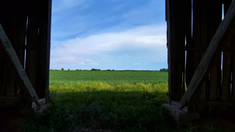 serene countryside view from an old barn