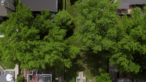 Overhead-scroll-up-suburban-houses-in-a-nice-neighborhood-on-a-summer-day