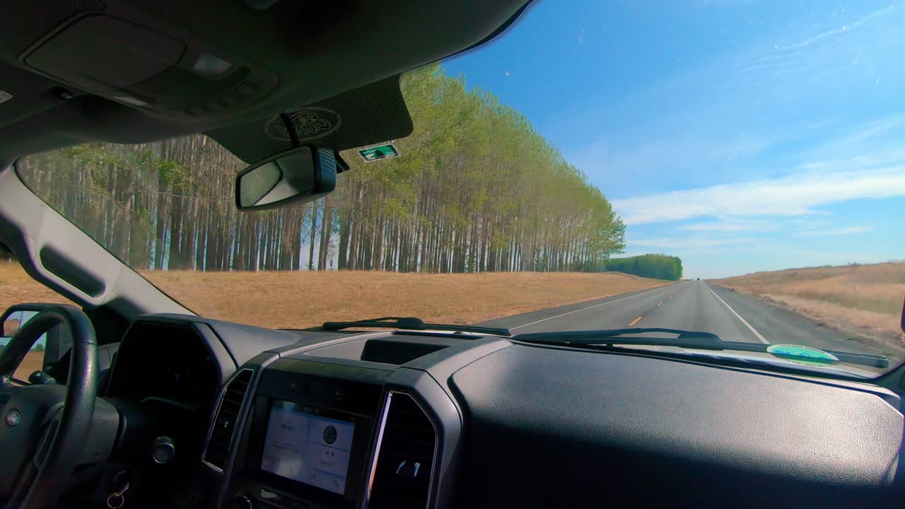 동부 워싱턴 주의 농업 지역에 있는 제지 농장이나 나무 농장을 지나 운전하는 동안 앞 유리창 밖으로 pov