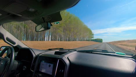 pov out of the front windshield while driving a past a paper plantation or tree farm in an agricultural area of eastern washington state