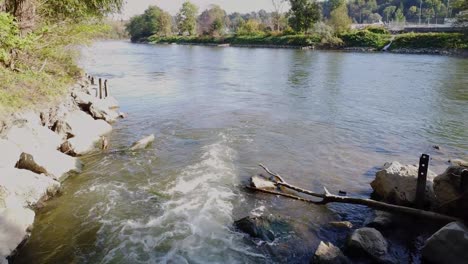 River-with-stones-and-trees-byside