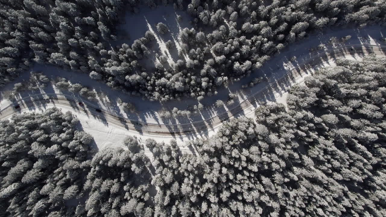 Aerial view of cars traveling on snowy road in the forest