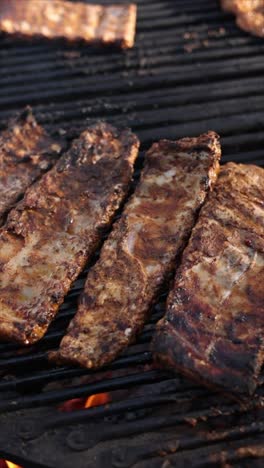 costillas a la parrilla en una parrilla