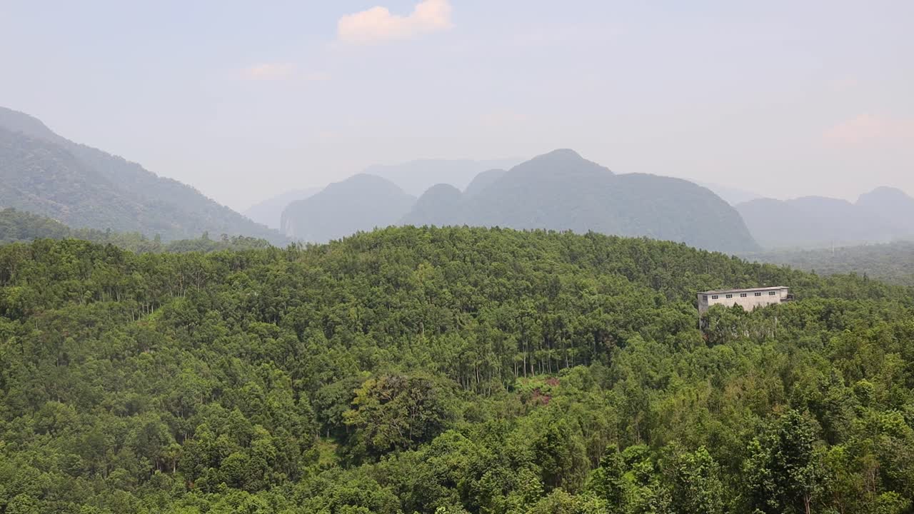 말레이시아의 이포 근처에 있는 가하루 차 농장, 아가르우드 나무와 멀리서 산과 안개가 있는 건물