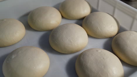 pizza dough in storage tray. close up