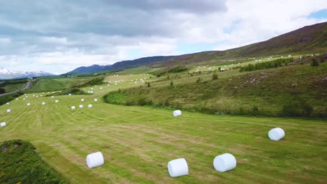 Una-Antena-Sobre-Grandes-Fardos-Blancos-De-Heno-Envueltos-En-Cilindros-De-Plástico-Como-Malvaviscos-En-Los-Campos-De-Islandia-1