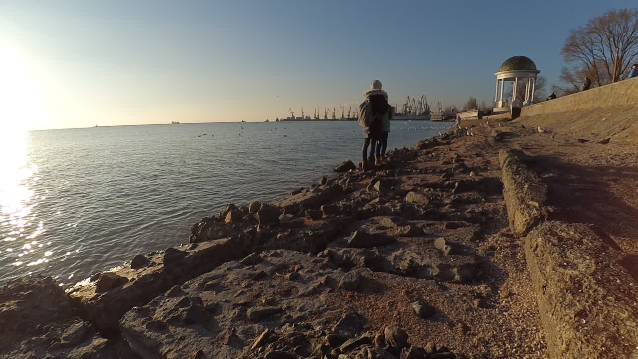 Paesaggio marino. Gabbiani sul mare.