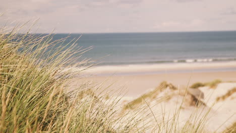 danish atlantic coastline