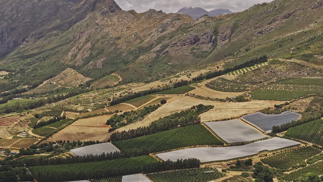 Stellenbosch South Africa Aerial v5 zoomed flyover wine estates, capturing lush vineyards on rolling hills set against a stunning mountainous landscape - Shot with Mavic 3 Pro Cine - Jan 6th 2024