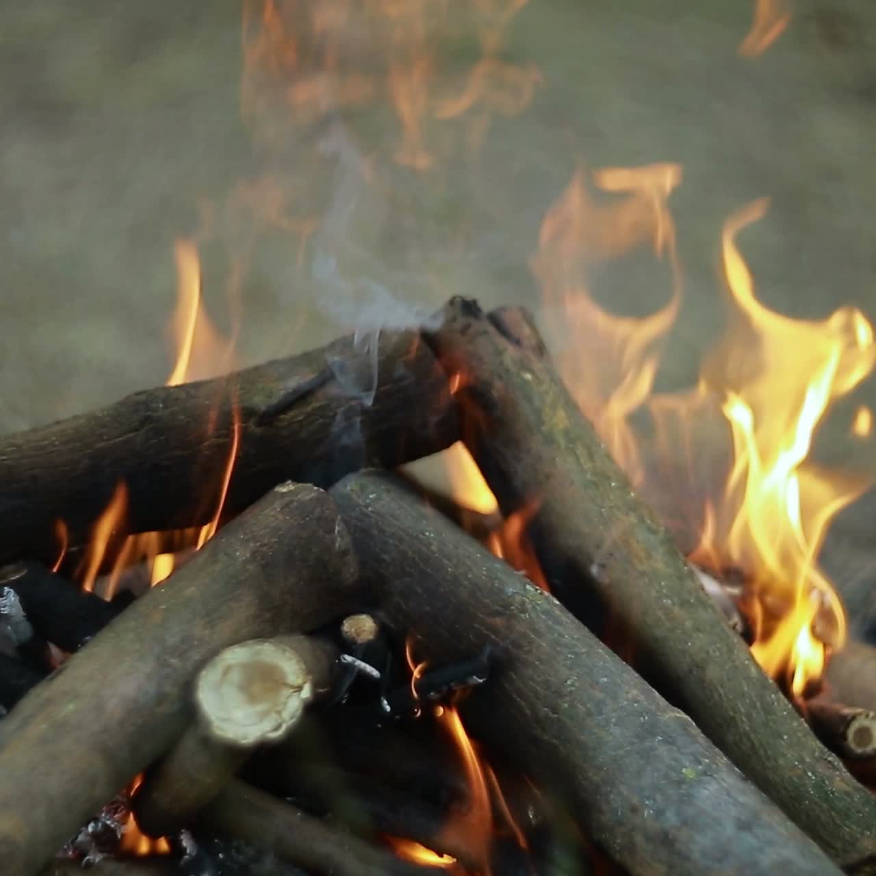 Close-up Api Unggun Besar di Luar Ruangan. Tampilan close-up api dan kayu bakar yang menyala di luar ruangan.