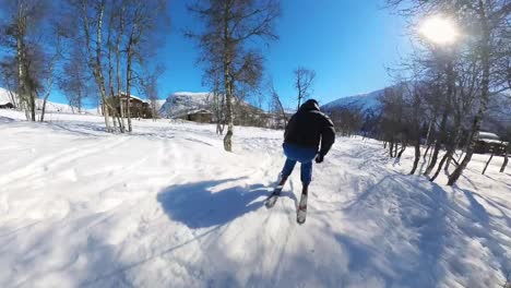 offpiste skier skiing fast in between many birch trees at sunny winter day in myrkdalen norway