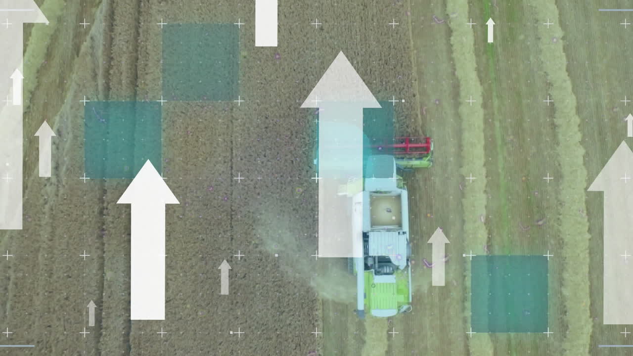 필드 위의  화살표의 애니메이션