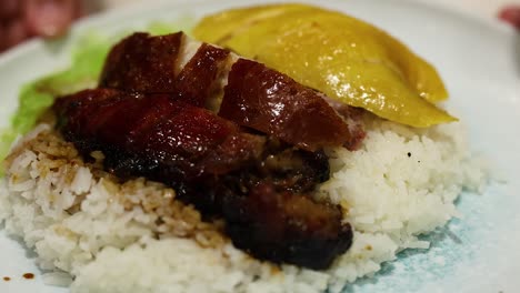 delicioso arroz con rebanadas de pato y pollo