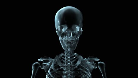 Medizinische-3D-Animation-Eines-Sich-Drehenden-Menschlichen-Skeletts-(Schleife)