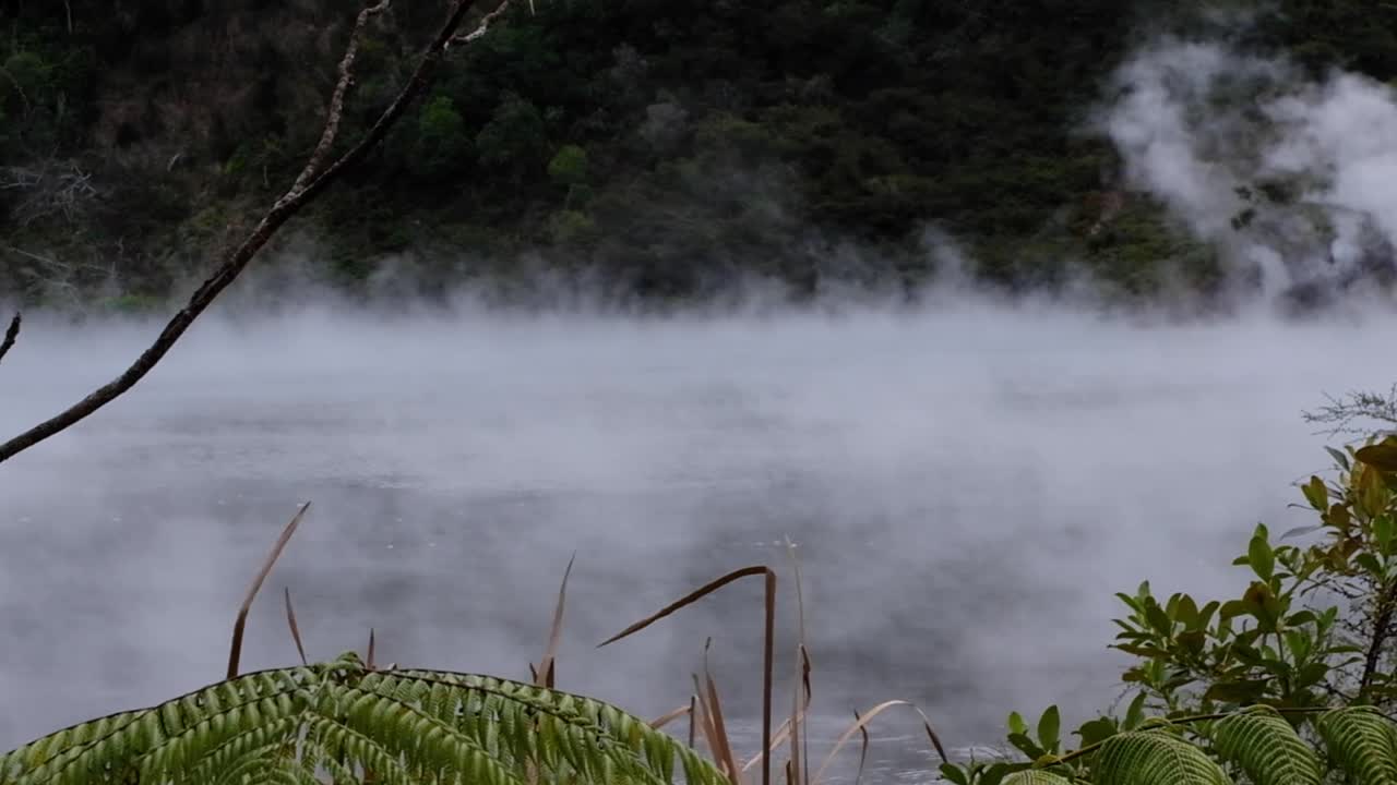 vista de cerca de las nubes de vapor que se elevan de la piscina caliente sulfúrica en el lago de sartén frito en el valle de la grieta volcánica de waimangu, rotorua, nueva zelanda aotearoa