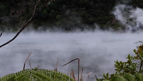 Close-up-view-of-clouds-of-steam-rising-from-sulphuric-hot-pool-on-Frying-Pan-Lake-in-Waimangu-Volcanic-Rift-Valley,-Rotorua,-New-Zealand-Aotearoa