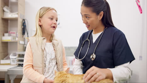 cat vet, child and woman talking