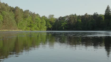 Wasserwellen-Brechen-Die-Spiegelung-Des-Lac-De-Lispach-Auf-Und-Die-Himmelswaldszene-Umgibt-Den-See